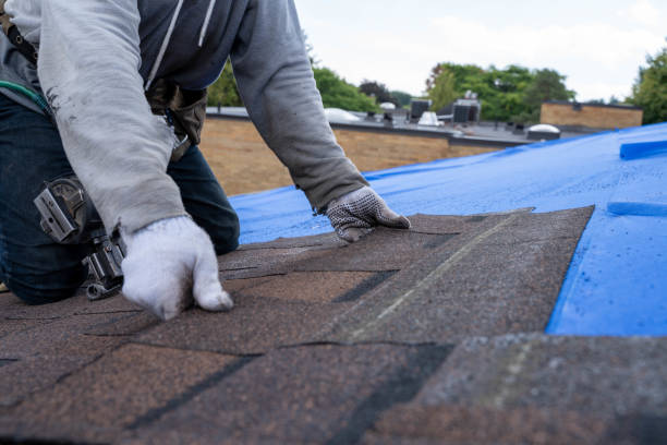 Best Roof Gutter Cleaning  in Berlin, OH
