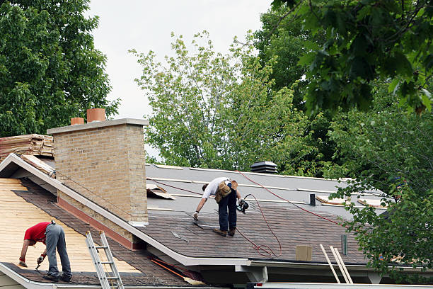 Best Roof Gutter Cleaning  in Berlin, OH